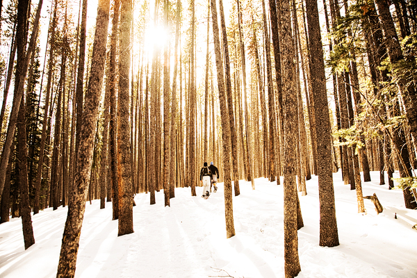 Snowshoeing In Breckenridge