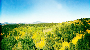 Colorado Fall Colors